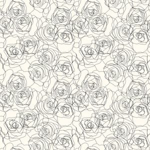 B U N D L E S ✨✨✨✨